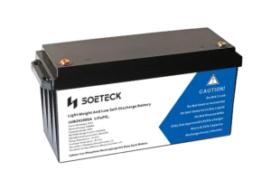 SOETECK 24v Lithium-ion Battery - 2
