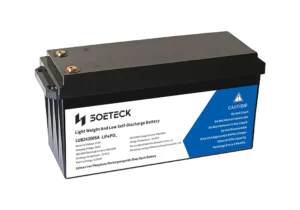 SOETECK 24v Lithium-ion Battery - 4